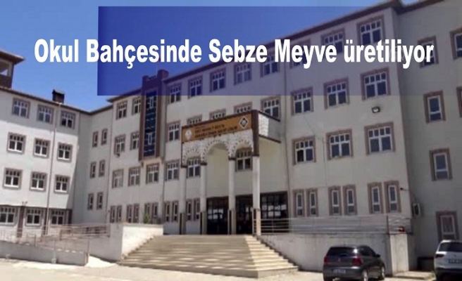 Okul Bahçesinde Sebze Meyve üretiliyor