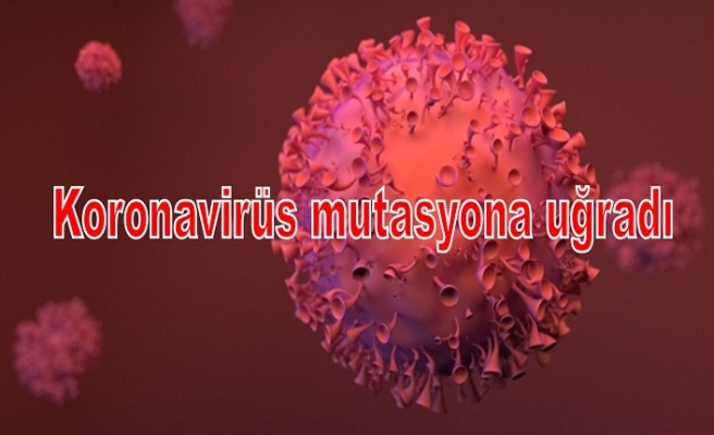 Koronavirüs mutasyona uğradı