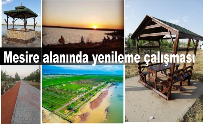 Mesire alanında yenileme çalışması