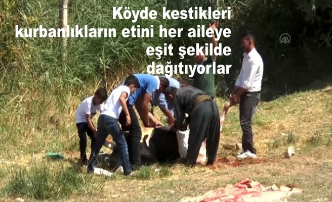 Köyde kestikleri kurbanlıkların etini her aileye eşit şekilde dağıtıyorlar