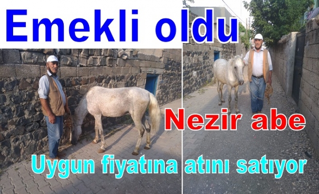 Satlık At