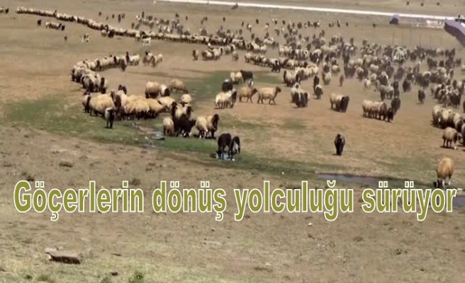 Göçerlerin dönüş yolculuğu sürüyor