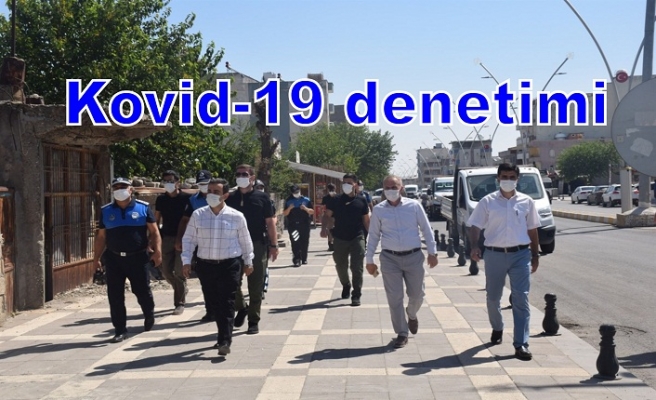 Kovid-19 denetimi