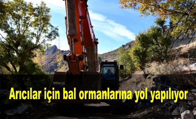 Arıcılar için bal ormanlarına yol yapılıyor