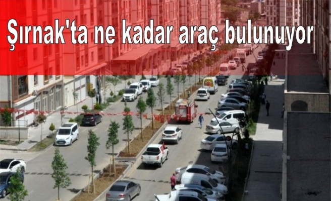 Şırnak'ta ne kadar araç bulunuyor ?