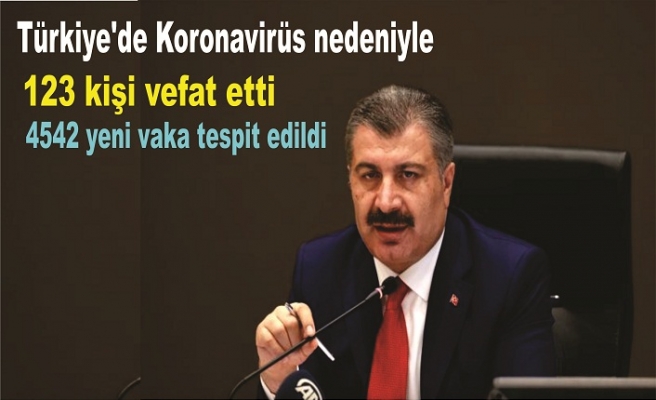 Türkiye'de 19 Kasım günü koronavirüs nedeniyle 123 kişi vefat etti, 4542 yeni vaka tespit edildi