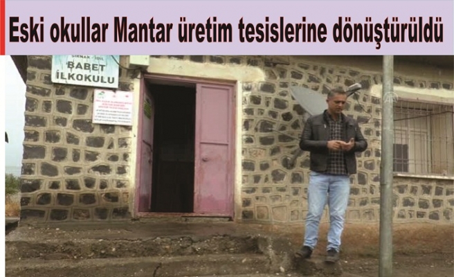 Eski okullar Mantar üretim tesislerine dönüştürüldü