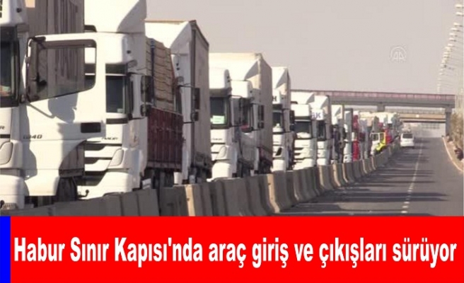 Habur Sınır Kapısı'nda araç giriş ve çıkışları sürüyor