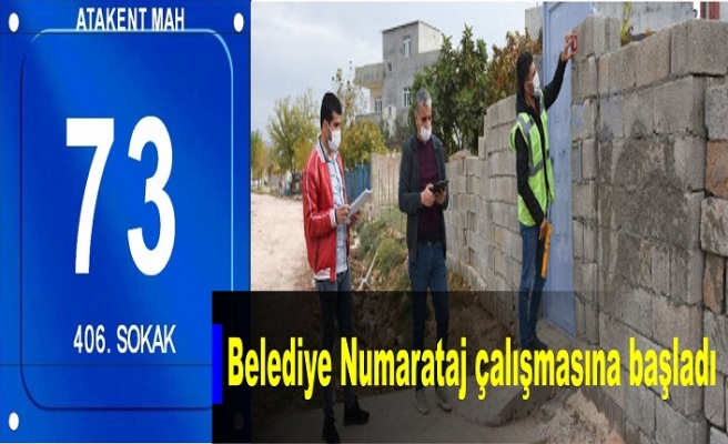 İdil Belediyesi 'Numarataj' çalışmasına başladı