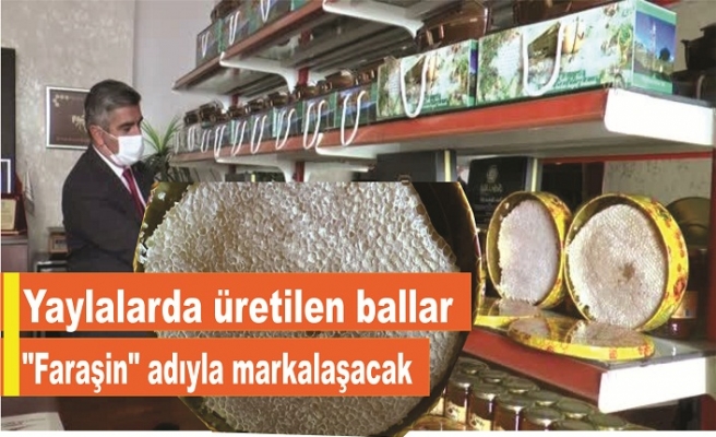 Yaylalarda üretilen ballar "Faraşin" adıyla markalaşacak