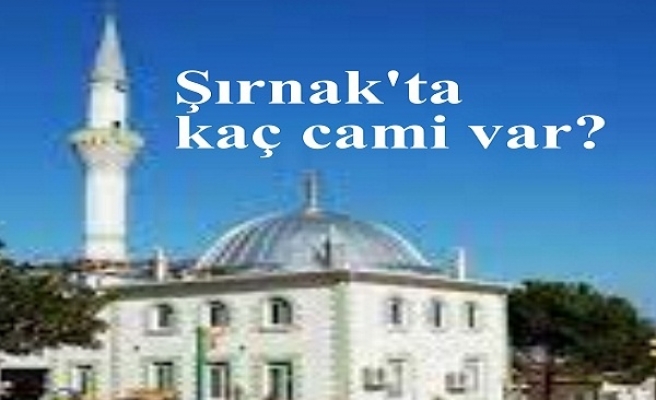 Şırnak'ta kaç cami var?