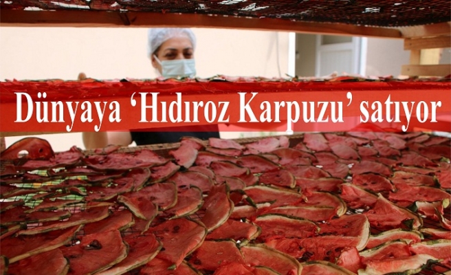 Dünyaya ‘Hıdıroz Karpuzu’ satıyor