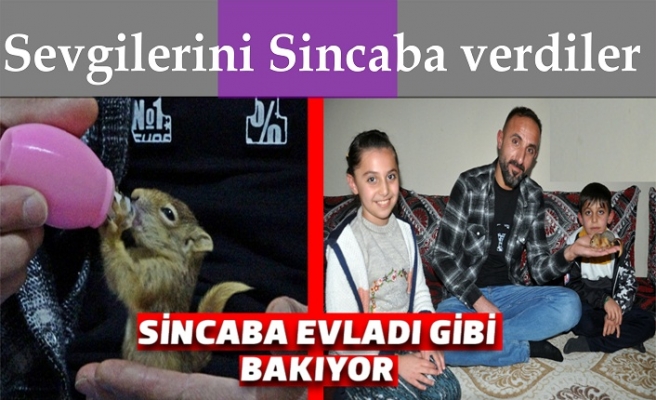 Sevgilerini Sincaba verdiler