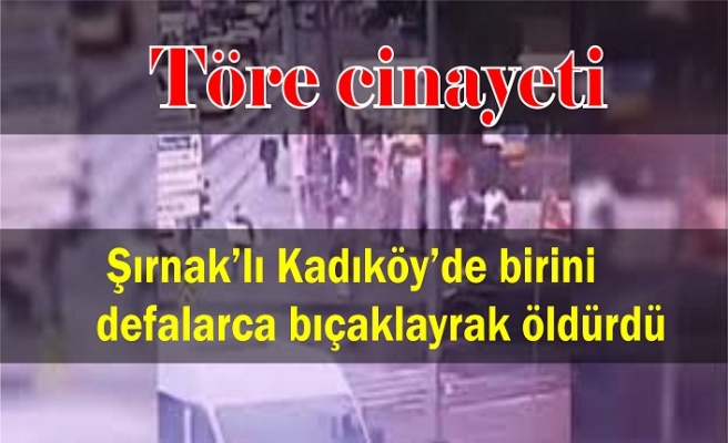 Şırnak'lı 20 yıl sonra töre intikamını Kadıköy'de aldı Bıçaklanarak öldürüldü