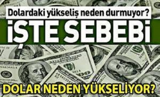 Dolar neden yükseliyor