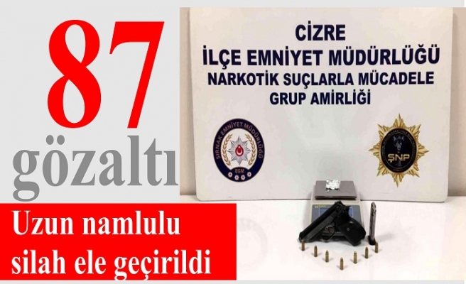 Şırnak'ta çok sayıda uzun namlulu silah ele geçirildi: 87 gözaltı