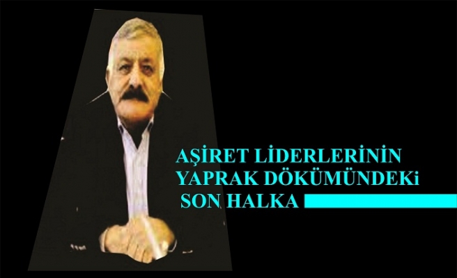 AŞİRET LİDERLERİNİN YAPRAK DÖKÜMÜNDEKİ SON HALKA :  ABDURRAHMAN ABAY. NAMI DİĞER ABDURRAHMANE BOTİ