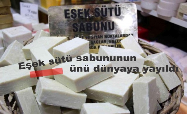 Eşek sütü sabununun ünü dünyaya yayıldı