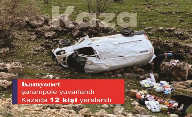 İdil Dargeçit Karayolunda kaza: 12 kişi yaralandı