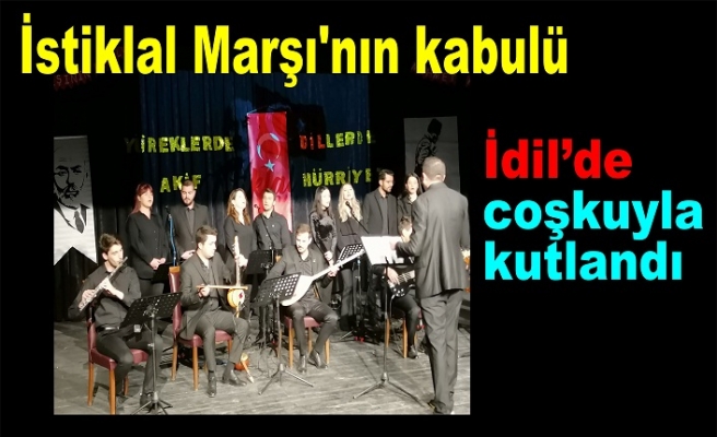 İstiklal Marşı'nın kabulü İdil'de coşkuyla kutlandı