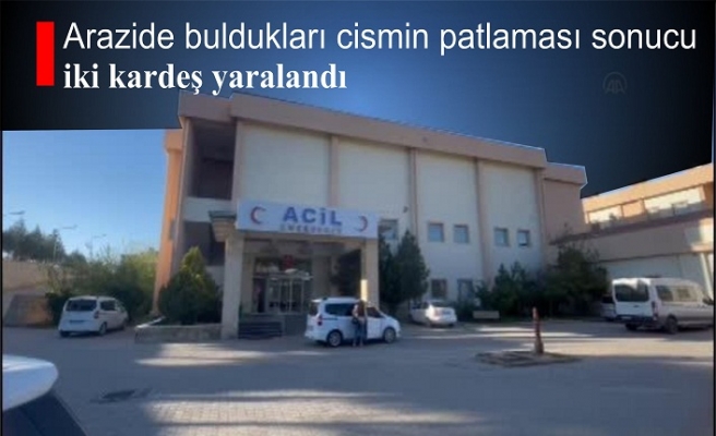 Arazide buldukları cismin patlaması sonucu iki kardeş yaralandı