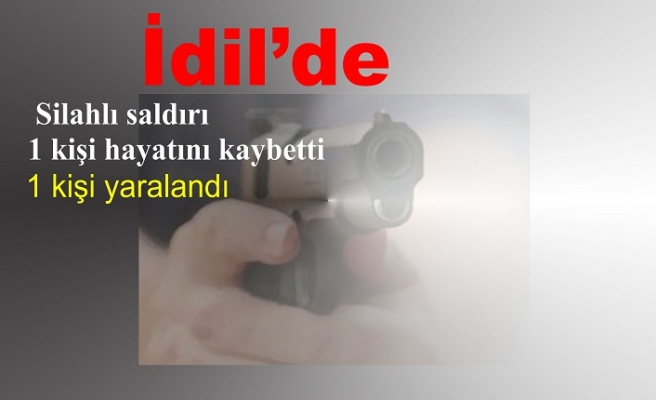 İdil'de Silahlı Saldırı 1 Kişi hayatını kaybetti 1 kişi yaralandı