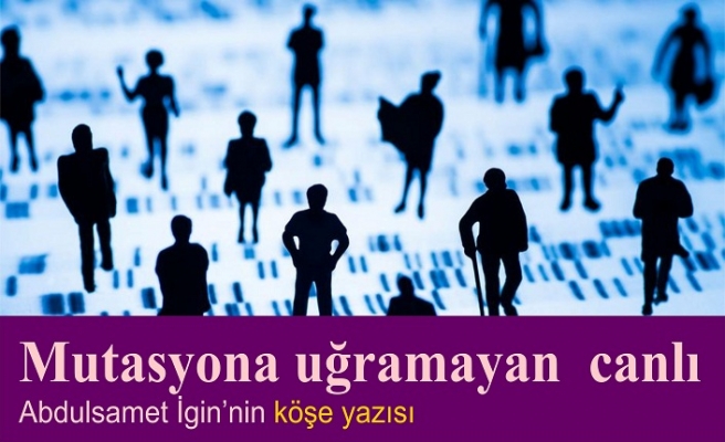 Mutasyona uğramayan  canlı