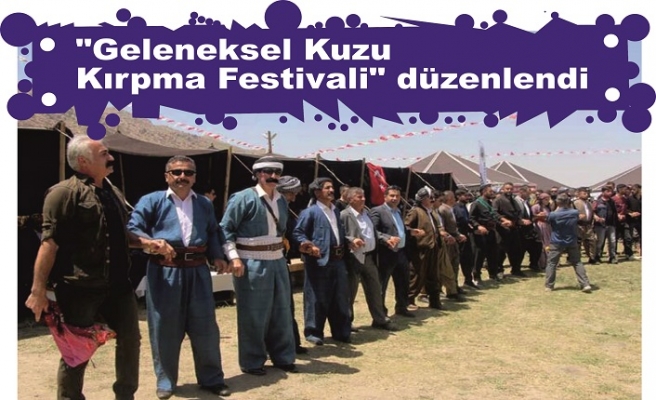 "Geleneksel Kuzu Kırpma Festivali" düzenlendi