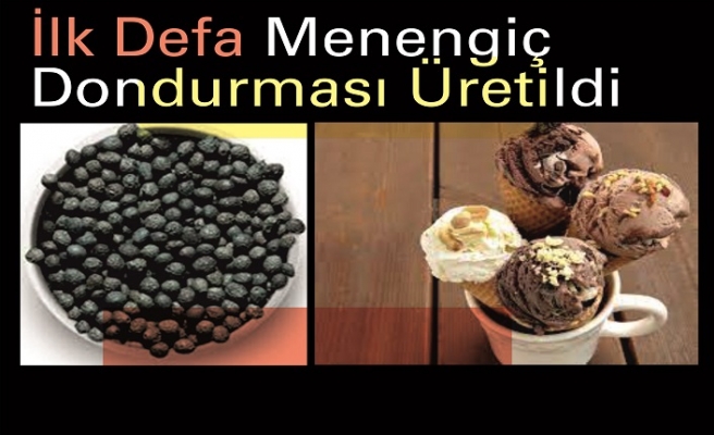 İlk Defa Menengiç Dondurması Üretildi