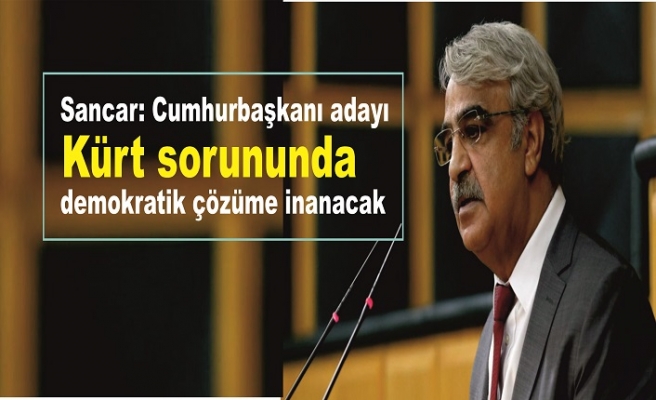 Sancar: Cumhurbaşkanı adayı Kürt sorununda demokratik çözüme inanacak