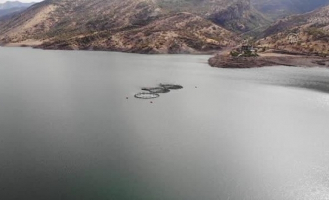 Uludere Barajı'na alabalık kafesi kuruldu