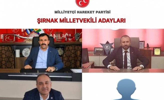 MHP Şırnak Miletvekili Adayları