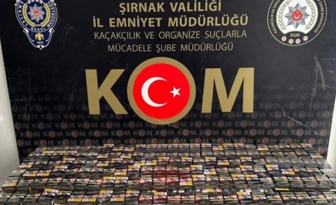 Şırnak'ta operasyon 38 kişi gözaltında