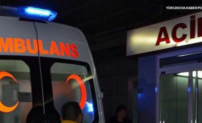 Silahlı kavga da kardeşlerden biri hayatını kaybetti