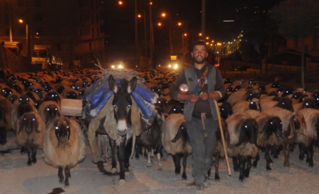 Sürüler Cizre köprüsünü geçti