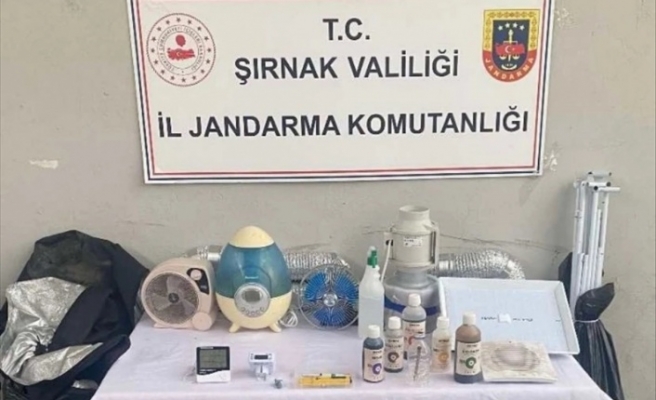 Şırnak'ta yapılan operasyonda 3 şüpheli gözaltına alındı