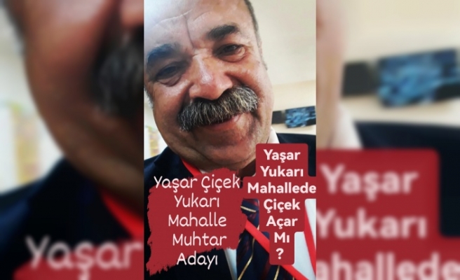 Yaşar Yukarı Mahallede Çiçek açar mı?