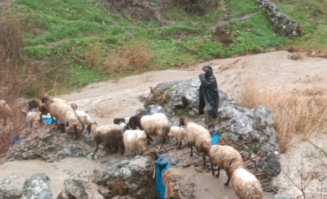 Şırnak'ta yağışlar hayatı felç etti