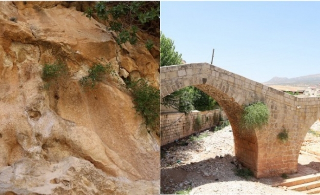 Cizre Barajı yapımı gün sayıyor