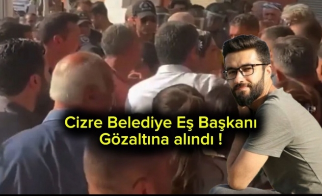 Cizre Belediye Eş Başkanı gözaltına alındı