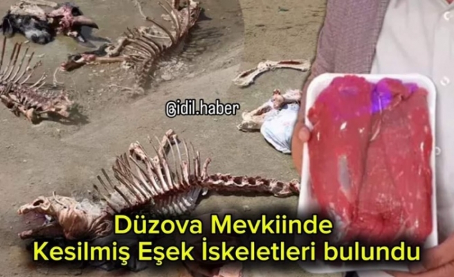 Düzova'da kesilmiş Eşek iskeleti bulundu