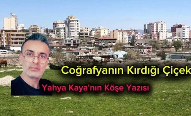 Coğrafya'nın kırdığı Çiçek
