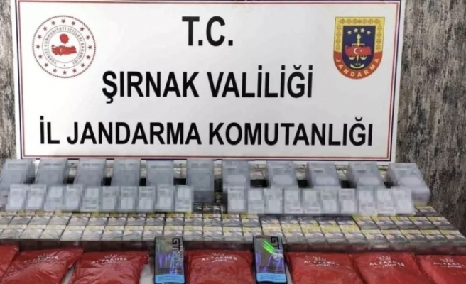 Şırnak’ta operasyon 22 kişi gözaltına alındı