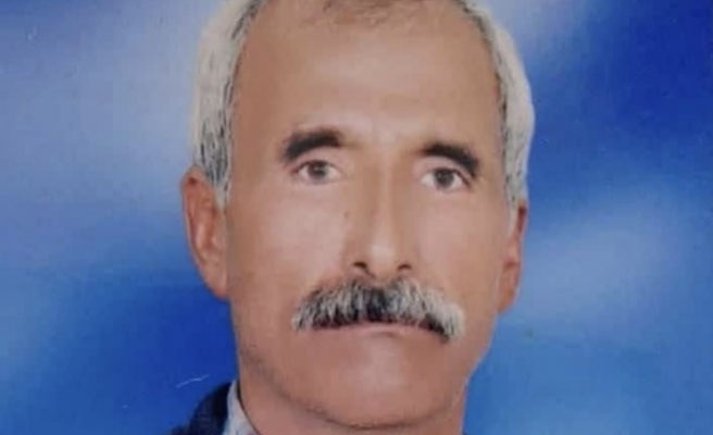 Peçenek Köyü Sakinlerinde Arslan hayatını kaybetti
