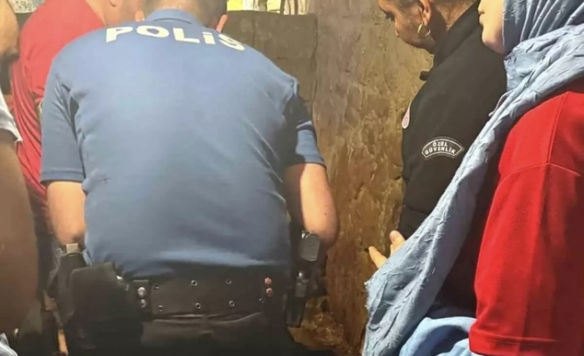 Ahırda ölü bulundu