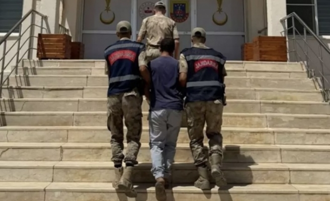 Hayvan Kısırlaştırmasına gözaltı