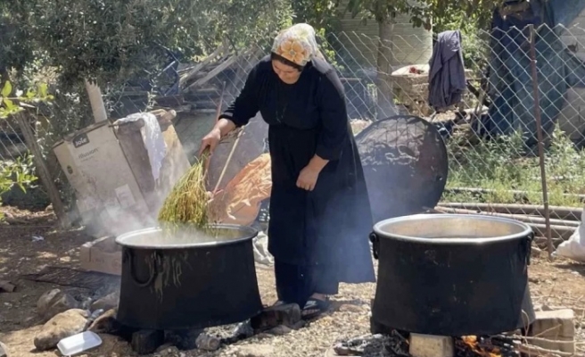 Üzümün pekmez yolculuğu başladı
