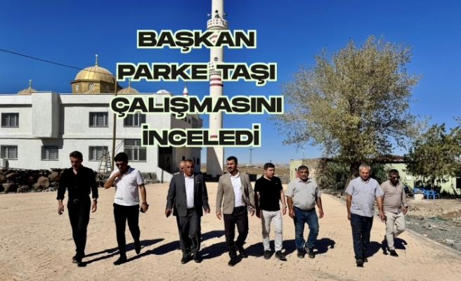 Duru Köyde Parke taşı çalışması