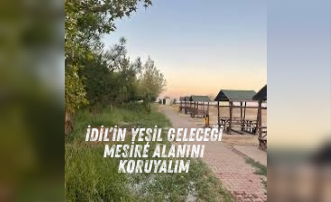 İdil’in doğal miras alanı: Mesire alanına sahip çıkalım
