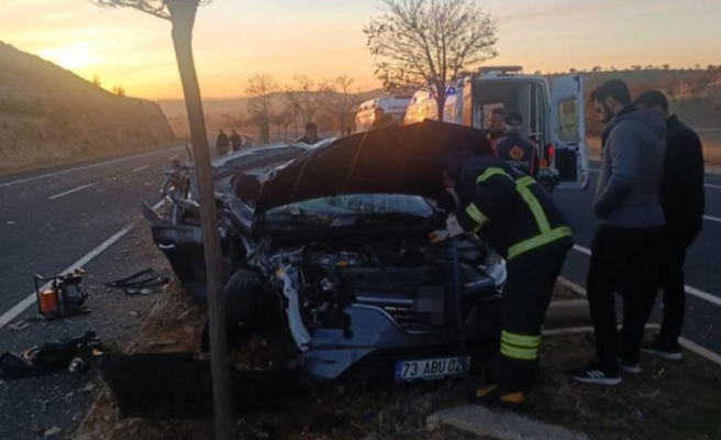 Araç kaza yaptı 1 ölü 2 yaralı